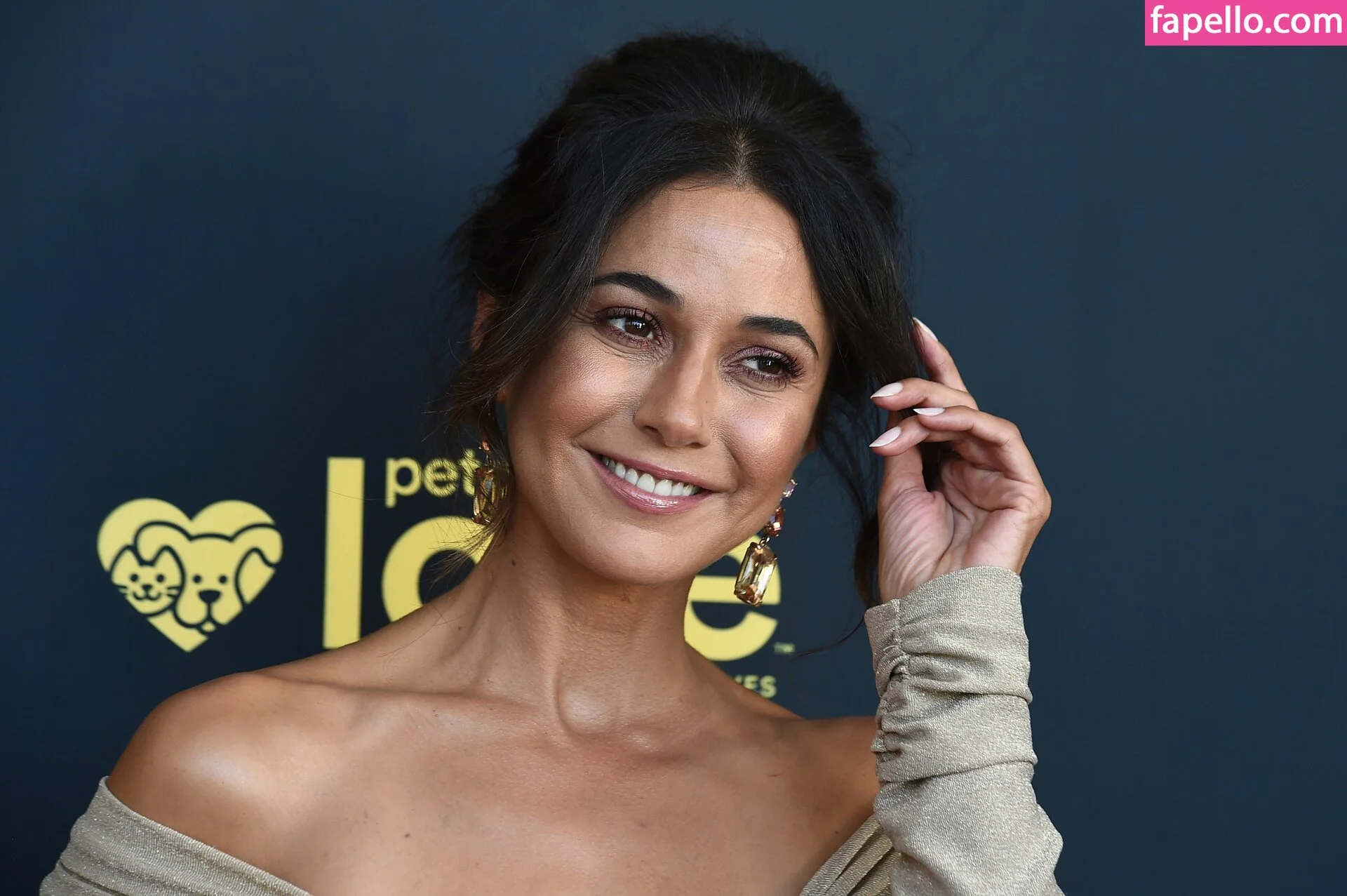 Emmanuelle Chriqui Onlyfans Photo Gallery 
