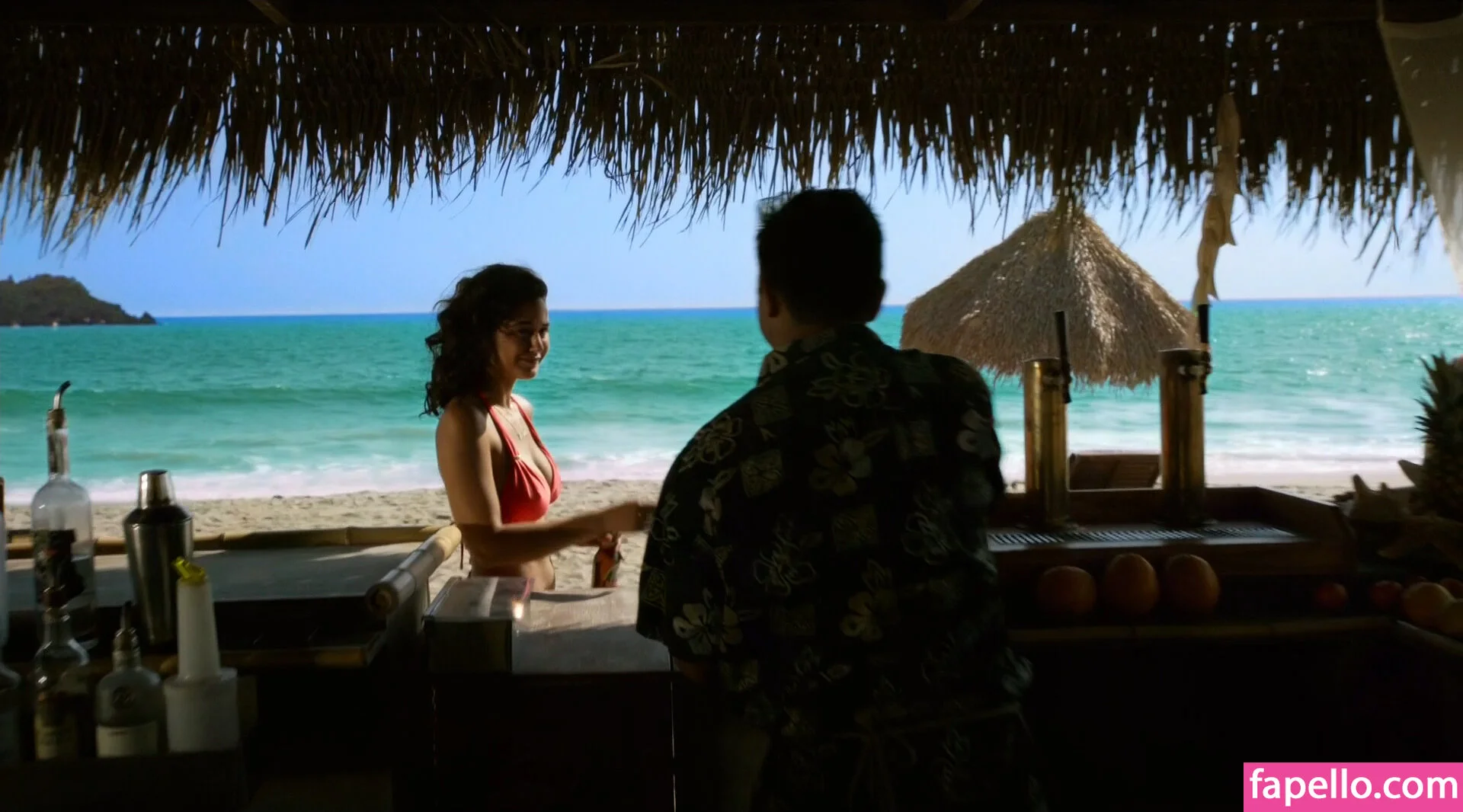 Emmanuelle Chriqui Onlyfans Photo Gallery 