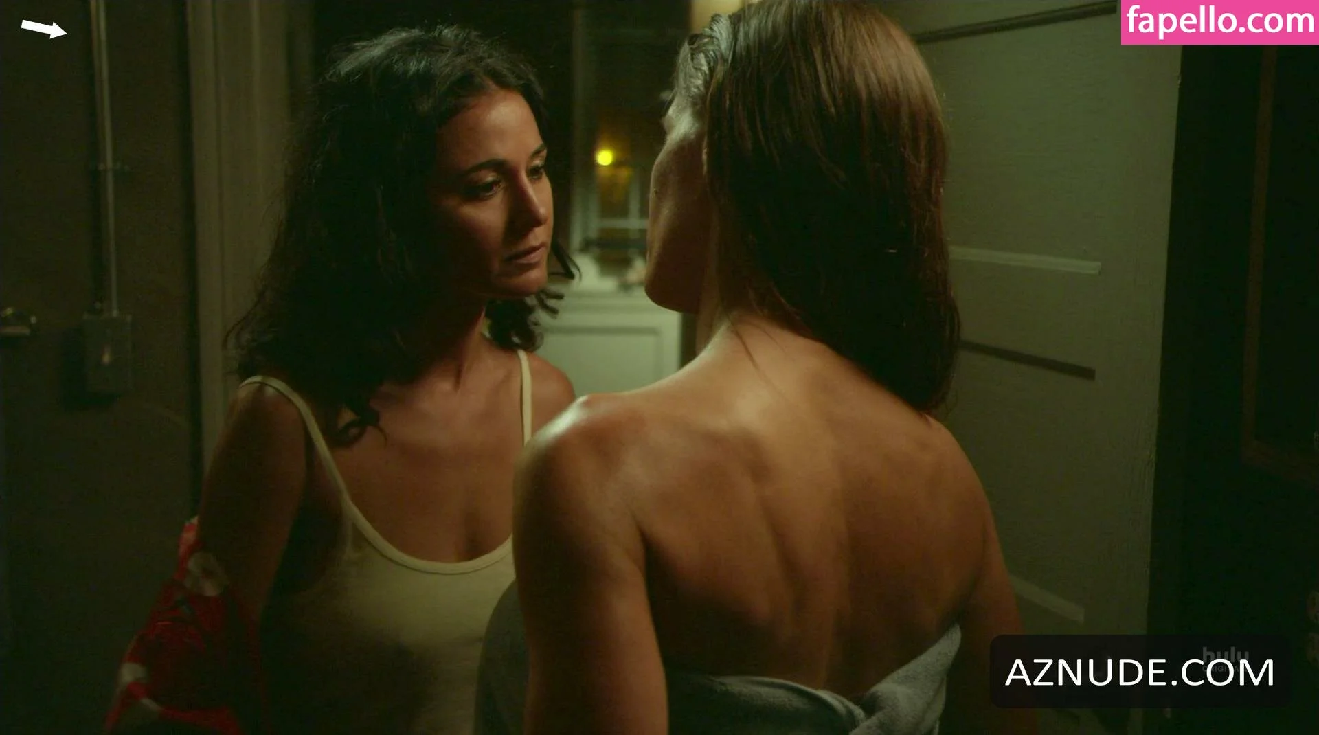 Emmanuelle Chriqui Onlyfans Photo Gallery 