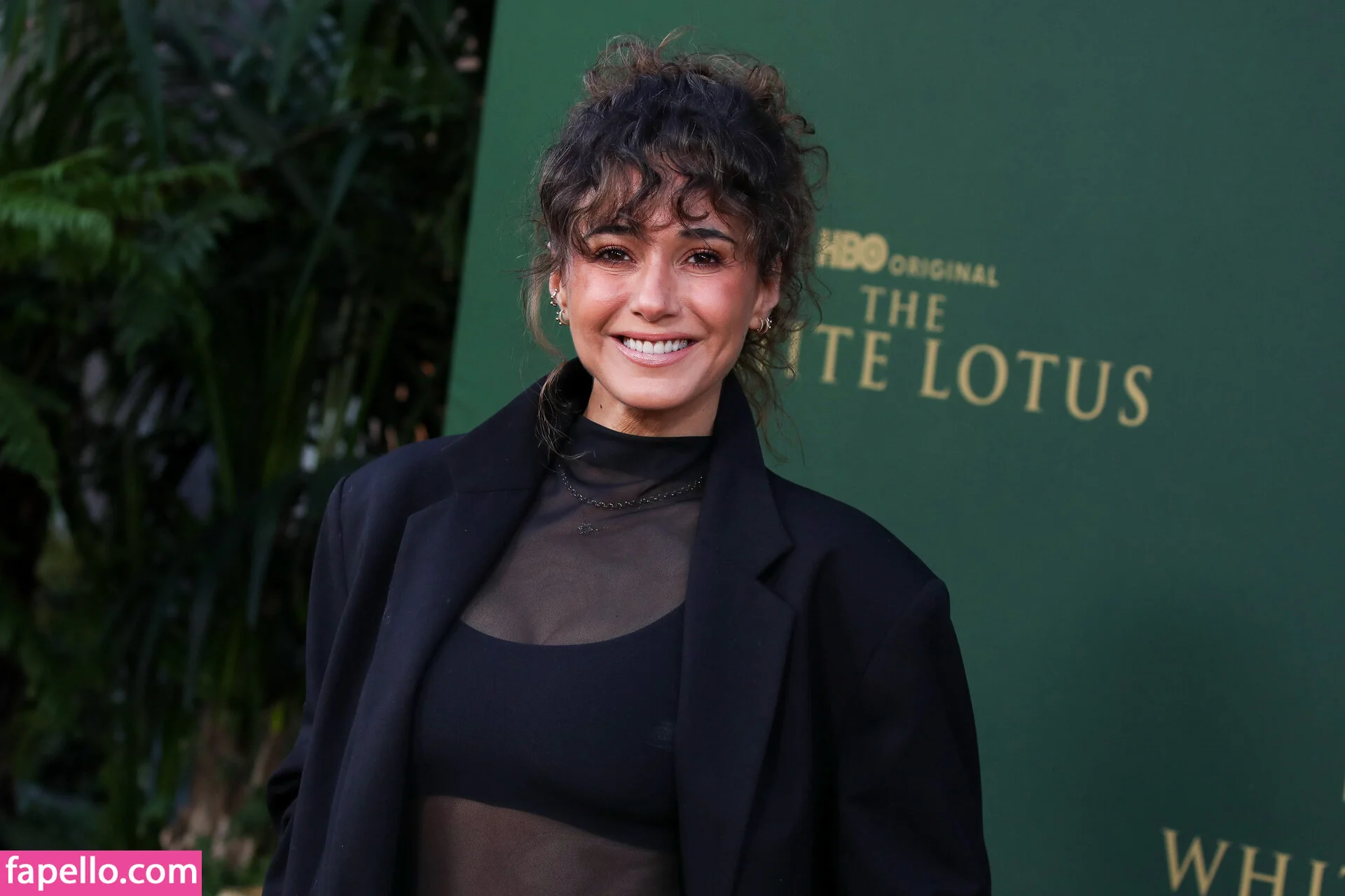 Emmanuelle Chriqui Onlyfans Photo Gallery 