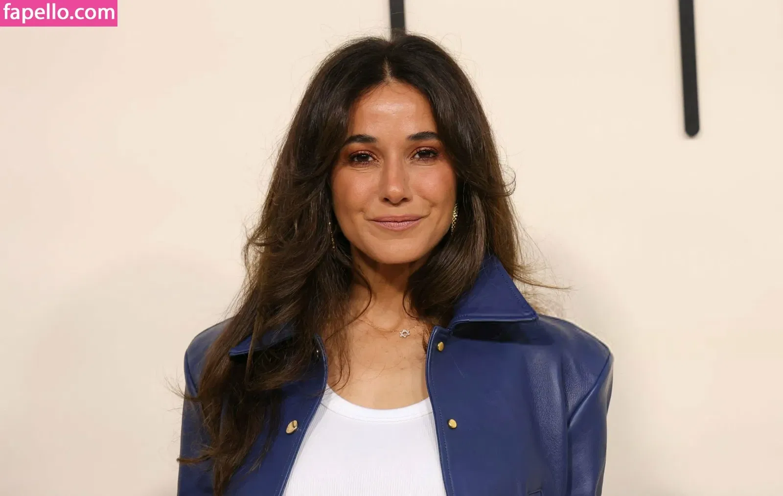 Emmanuelle Chriqui Onlyfans Photo Gallery 