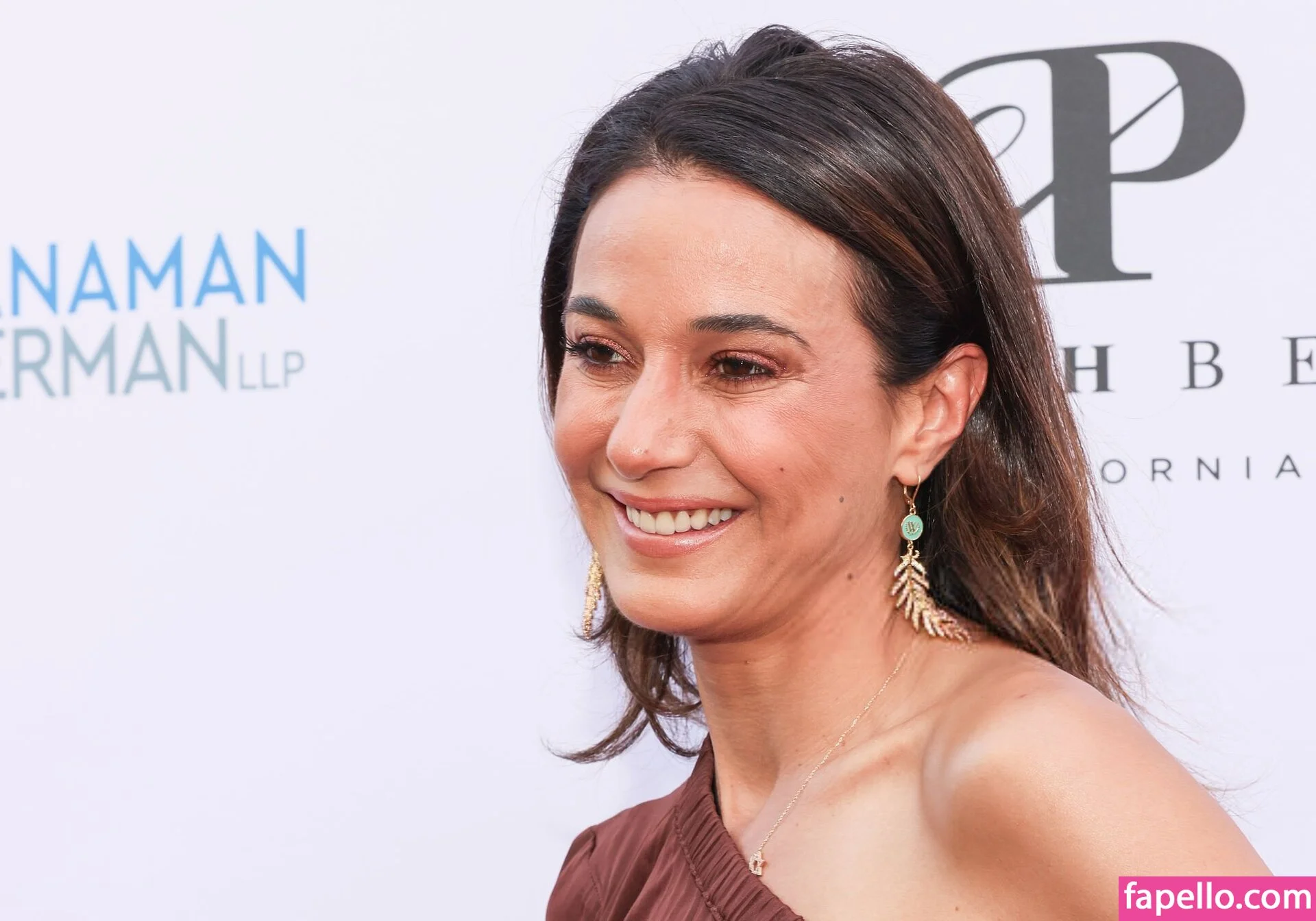 Emmanuelle Chriqui Onlyfans Photo Gallery 