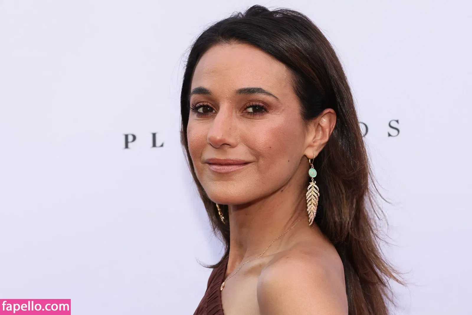 Emmanuelle Chriqui Onlyfans Photo Gallery 