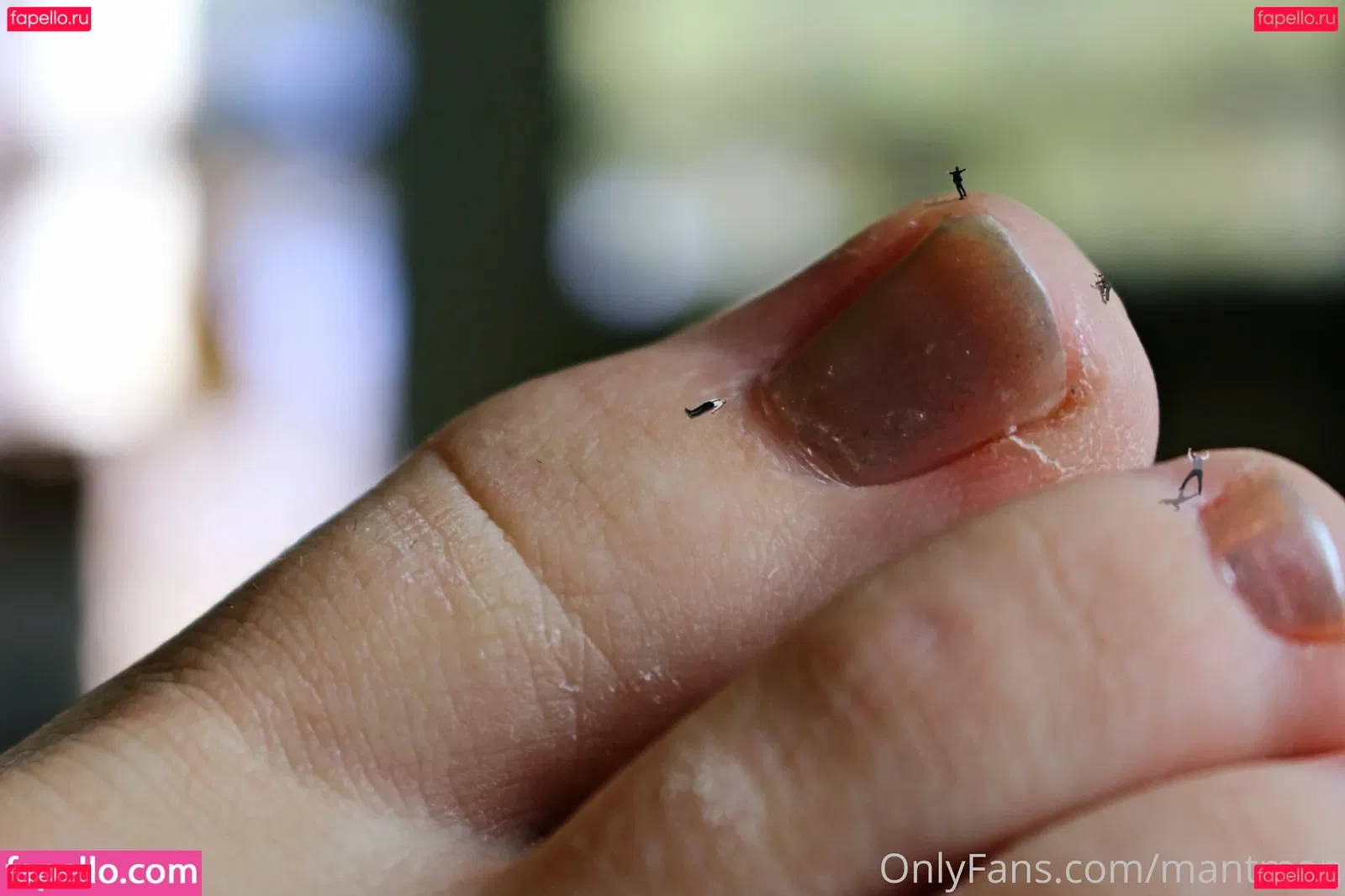 mantman Onlyfans Photo Gallery 