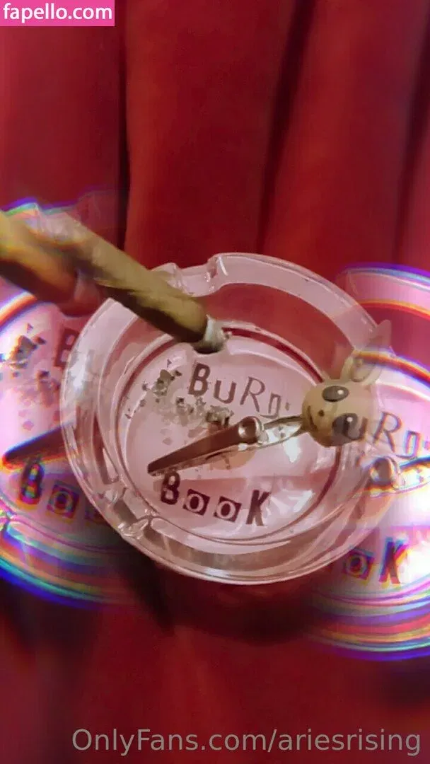 ariesrising Onlyfans Photo Gallery 