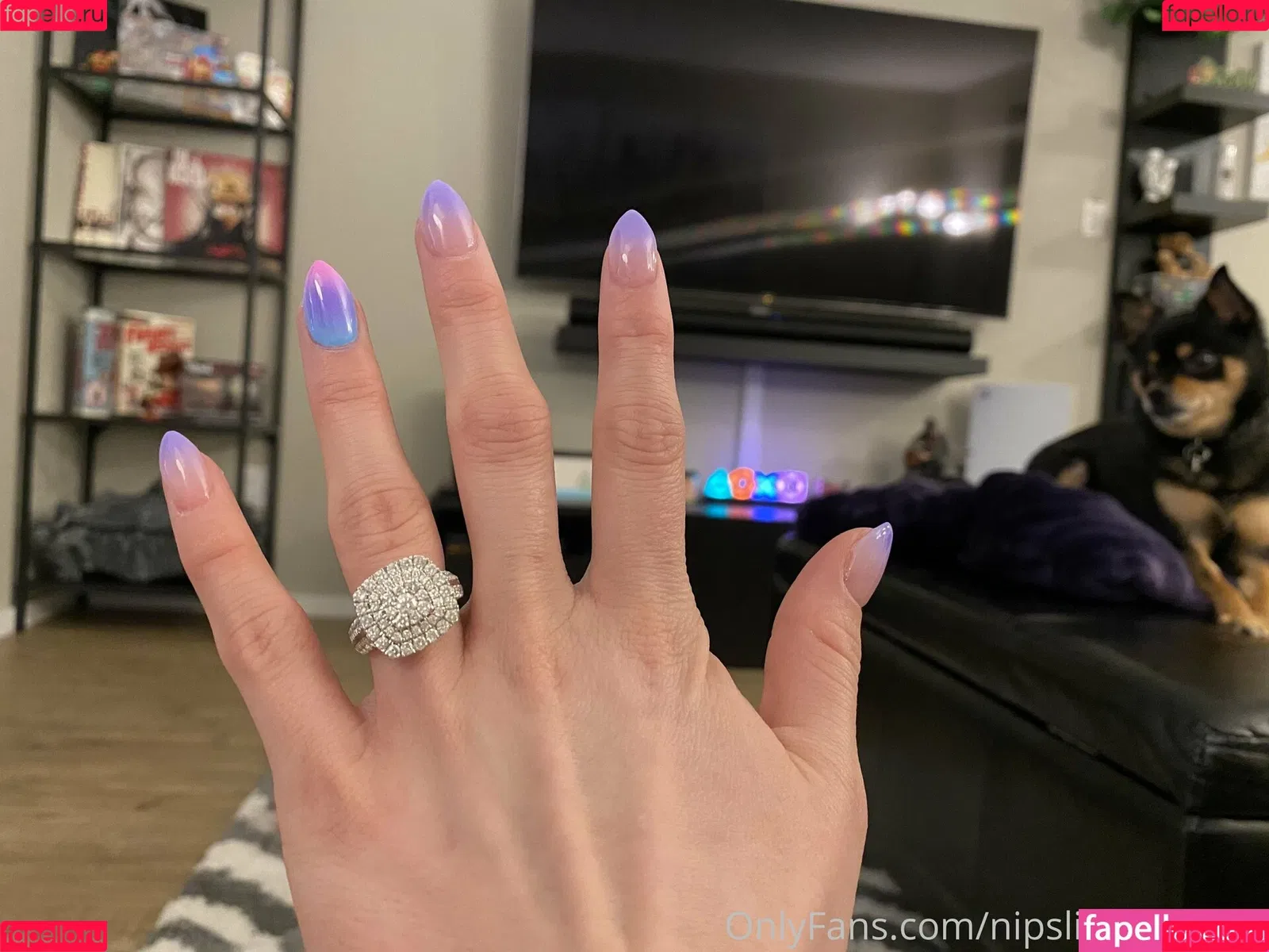 nipslipnovalynn Onlyfans Photo Gallery 