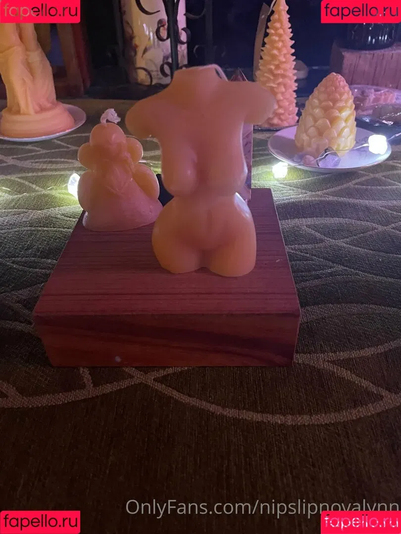 nipslipnovalynn Onlyfans Photo Gallery 