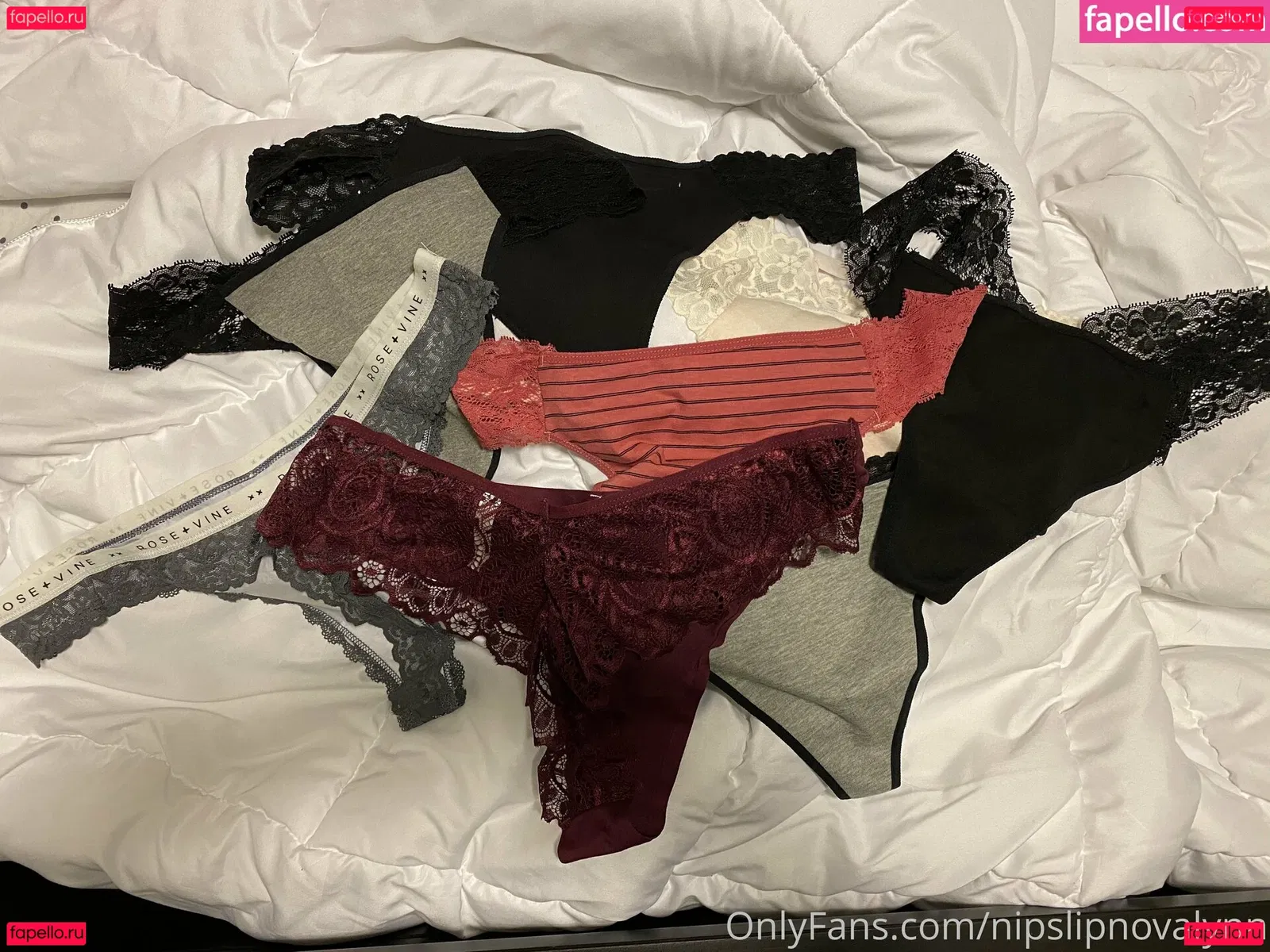 nipslipnovalynn Onlyfans Photo Gallery 