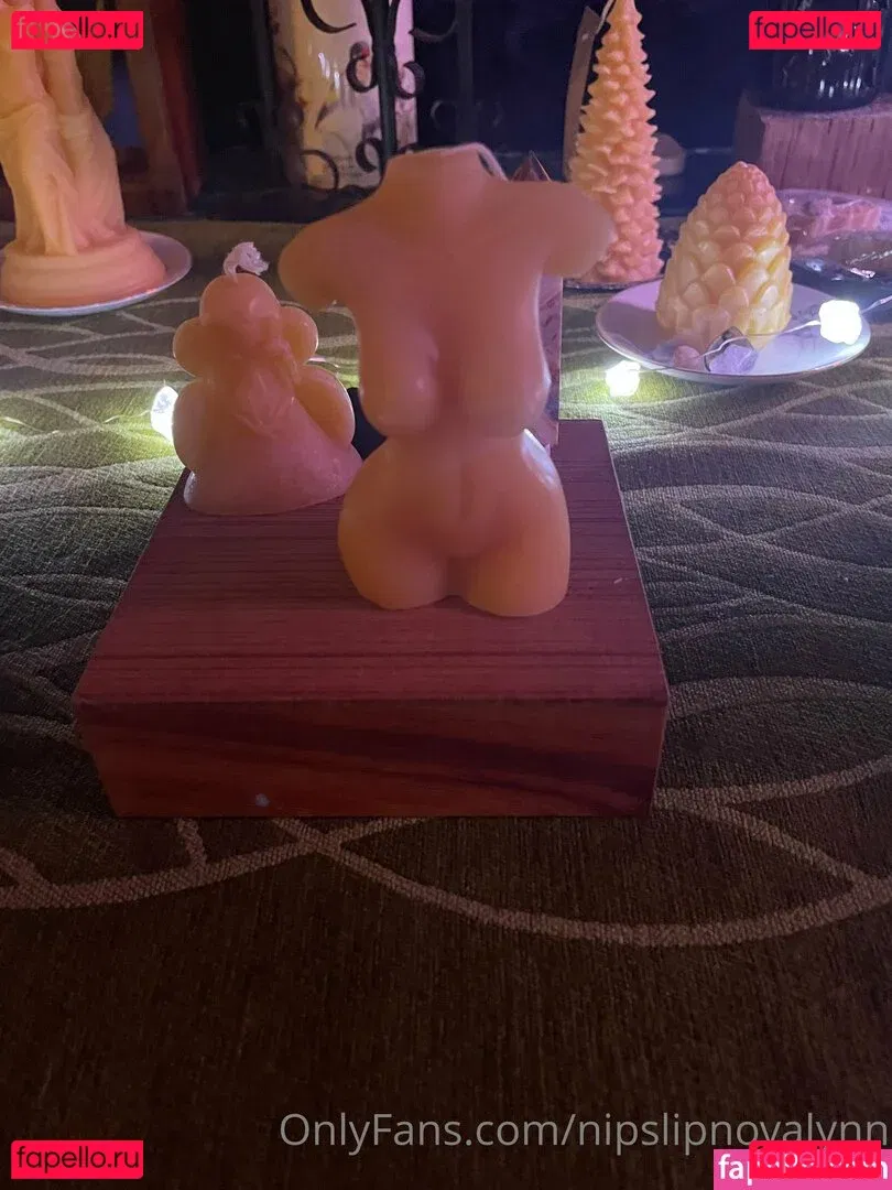 nipslipnovalynn Onlyfans Photo Gallery 