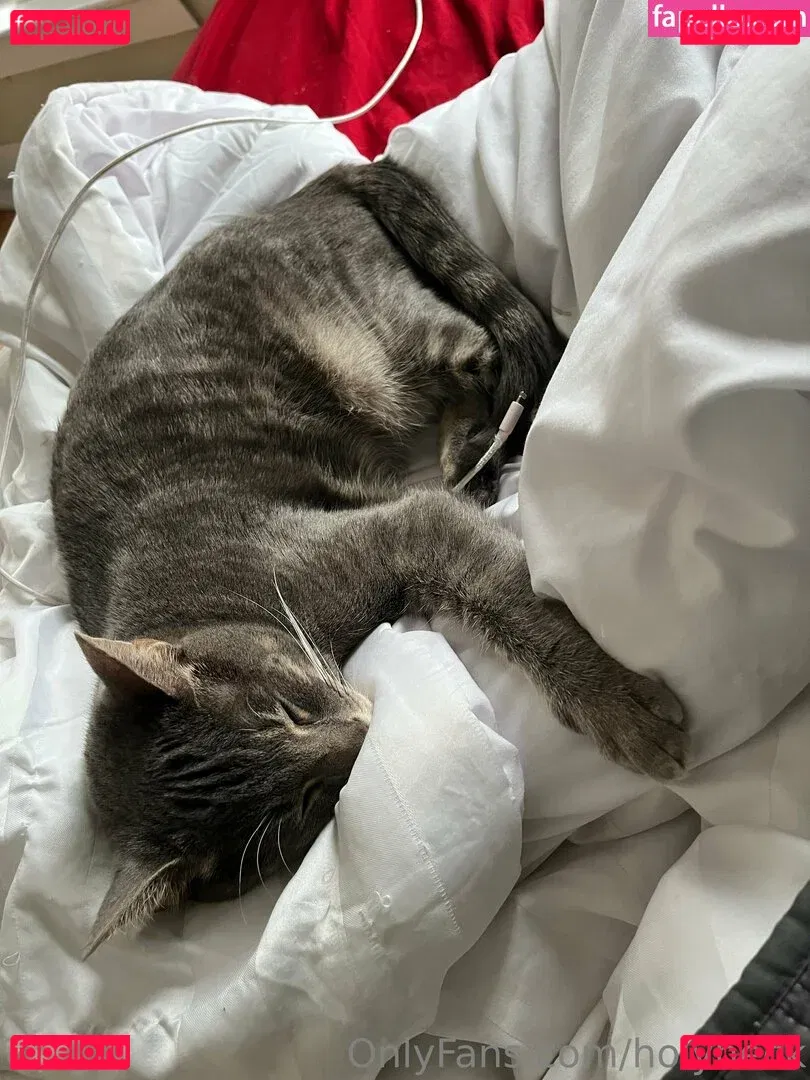 holyheck Onlyfans Photo Gallery 