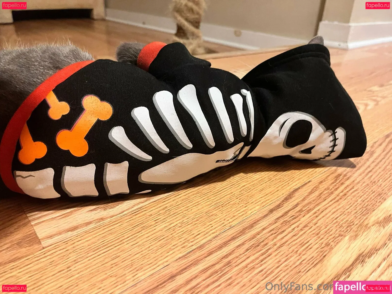 holyheck Onlyfans Photo Gallery 