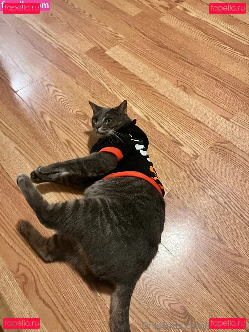 holyheck Onlyfans Photo Gallery 