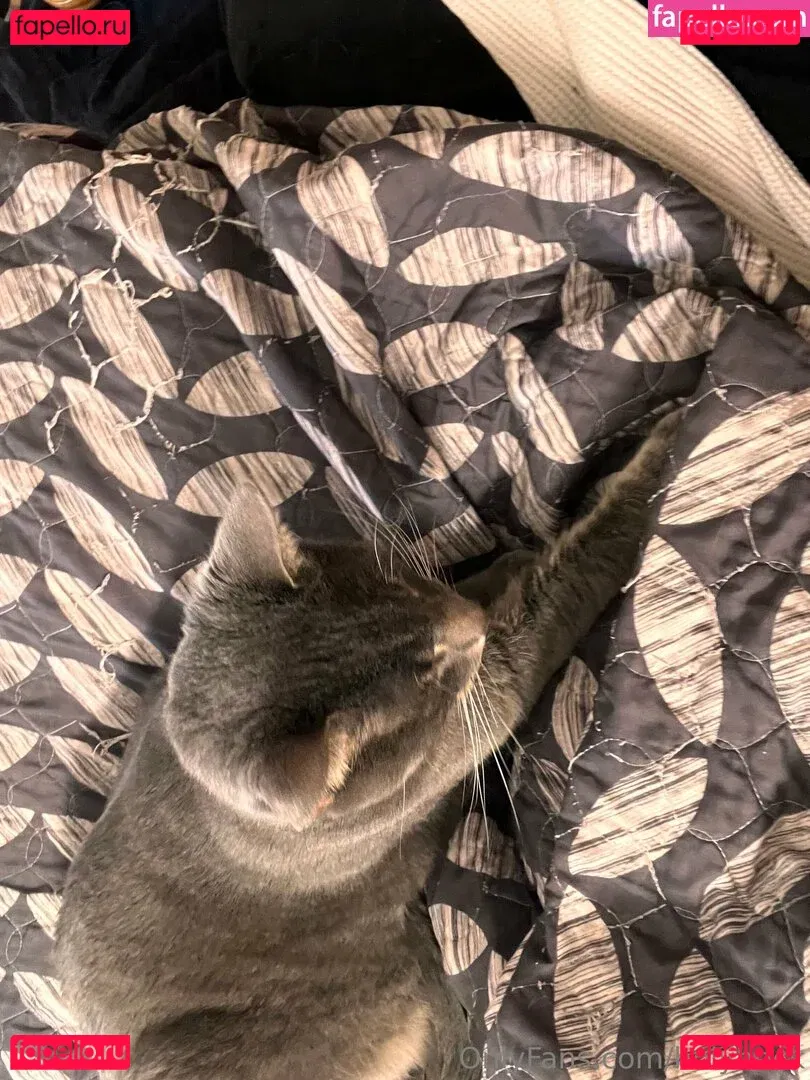 holyheck Onlyfans Photo Gallery 