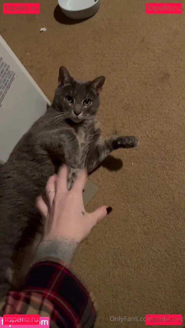 holyheck Onlyfans Photo Gallery 