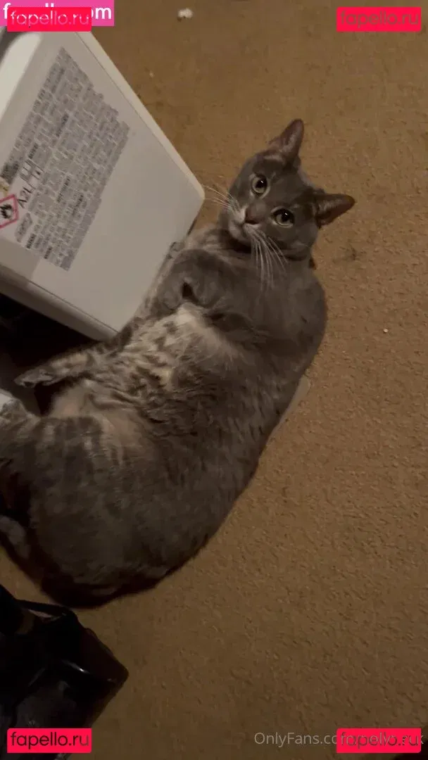 holyheck Onlyfans Photo Gallery 