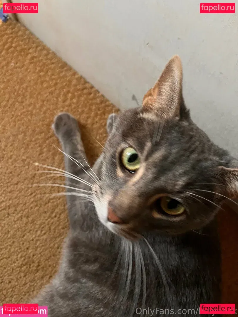 holyheck Onlyfans Photo Gallery 