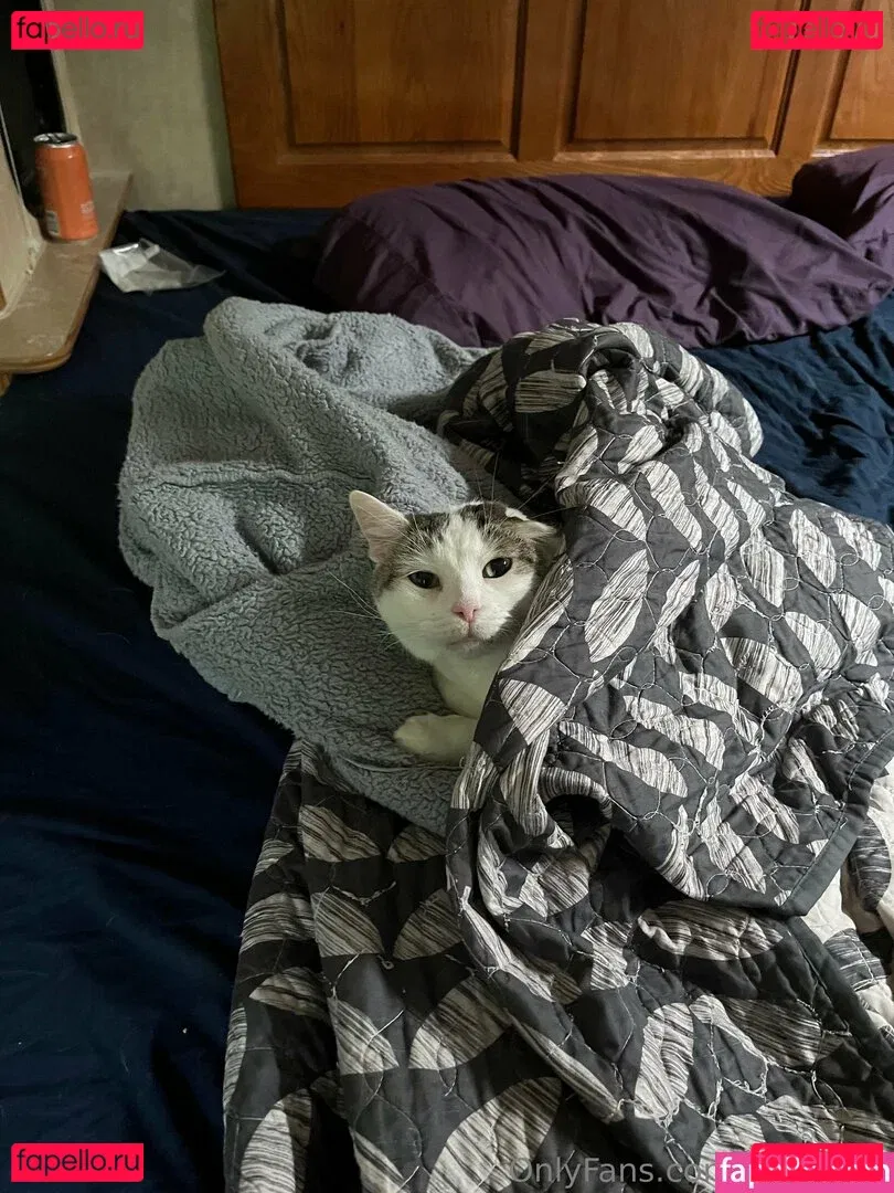 holyheck Onlyfans Photo Gallery 