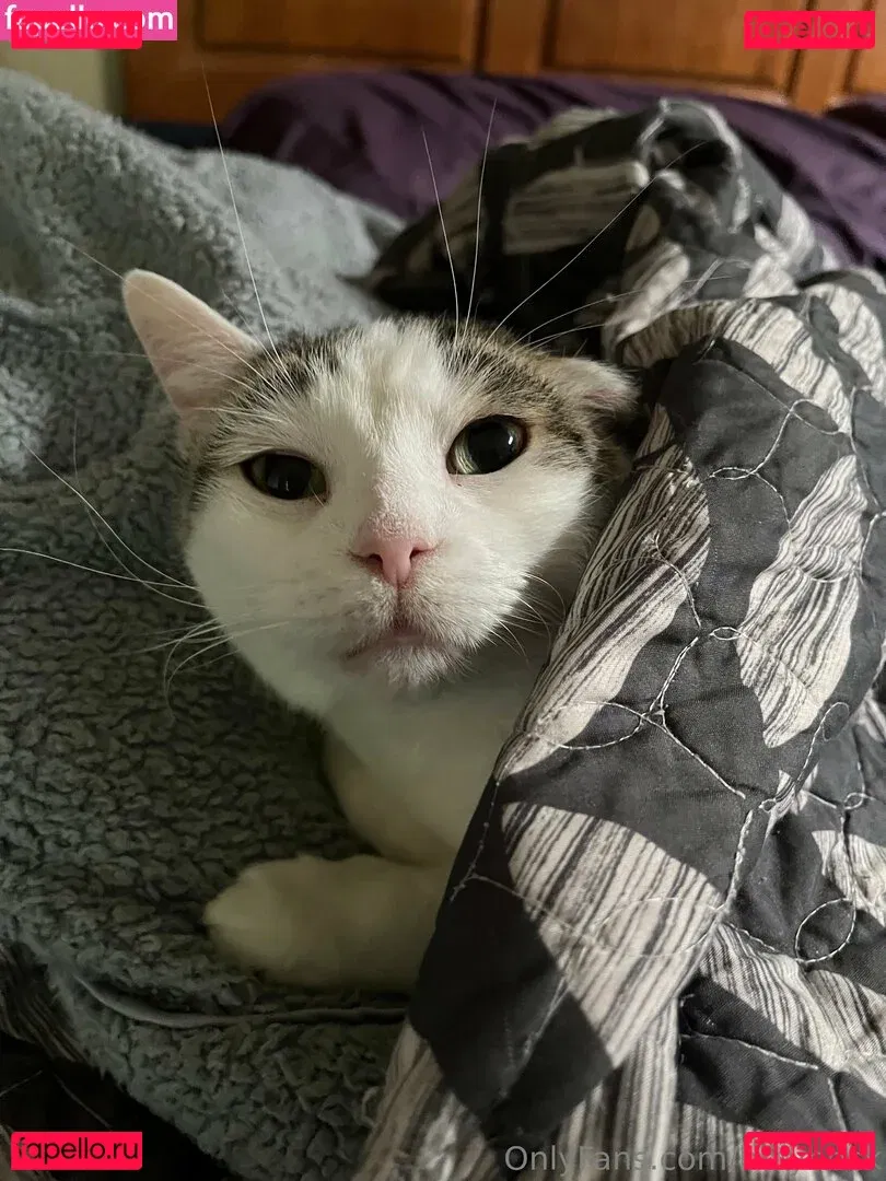 holyheck Onlyfans Photo Gallery 