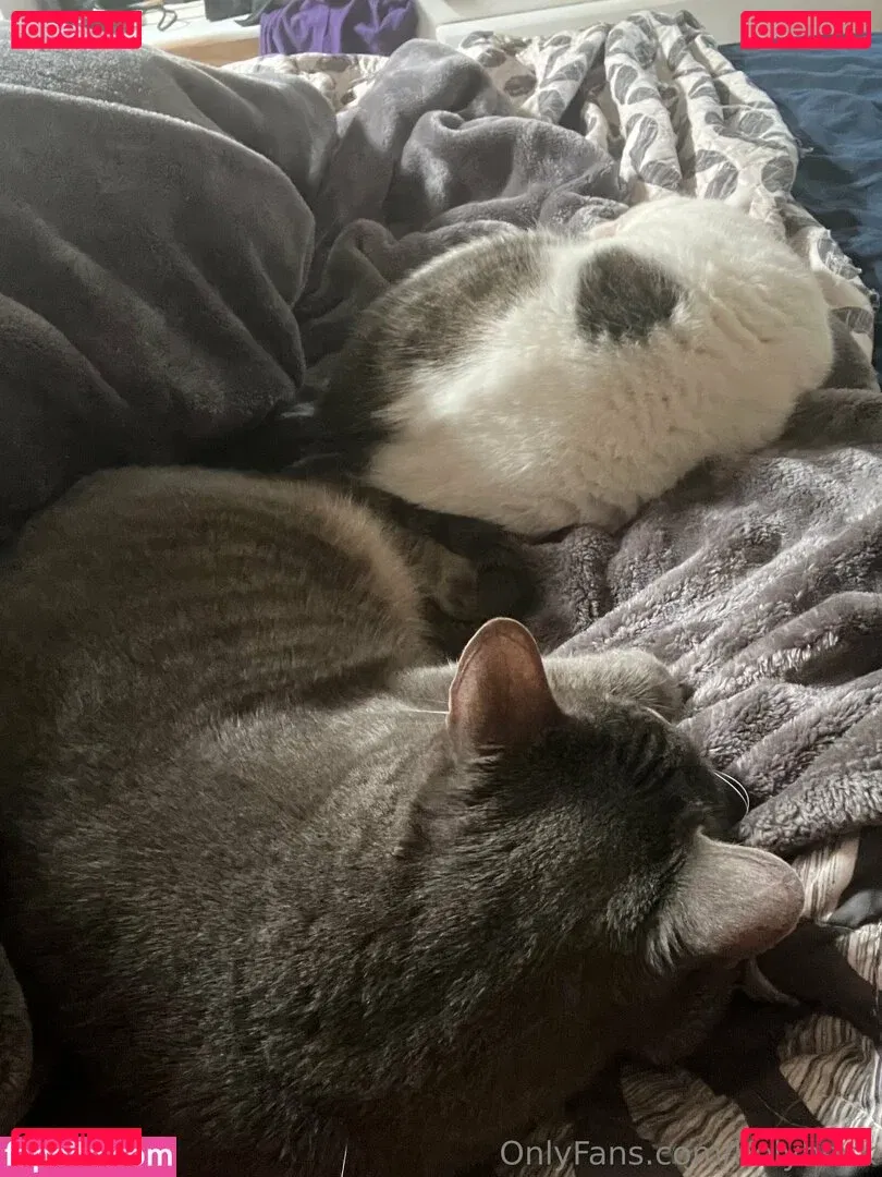 holyheck Onlyfans Photo Gallery 