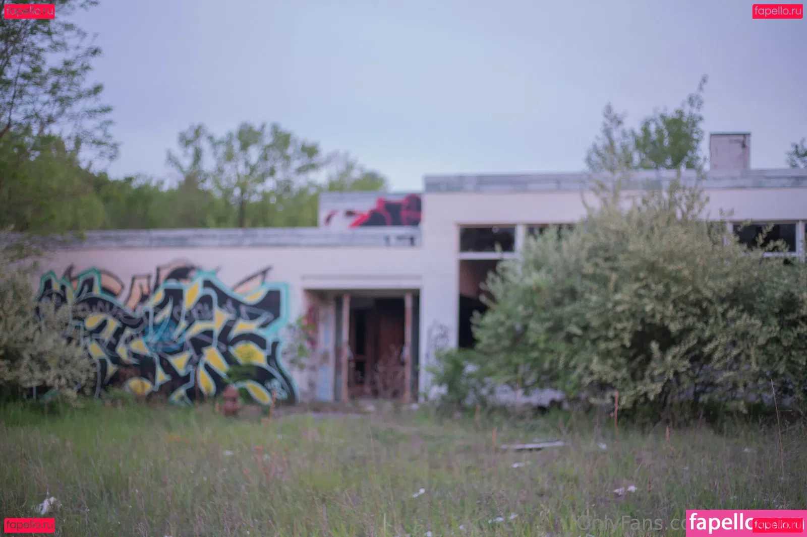 holyheck Onlyfans Photo Gallery 