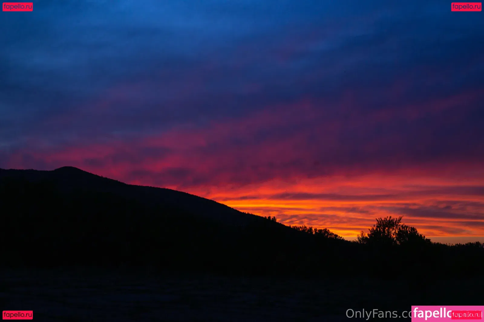 holyheck Onlyfans Photo Gallery 