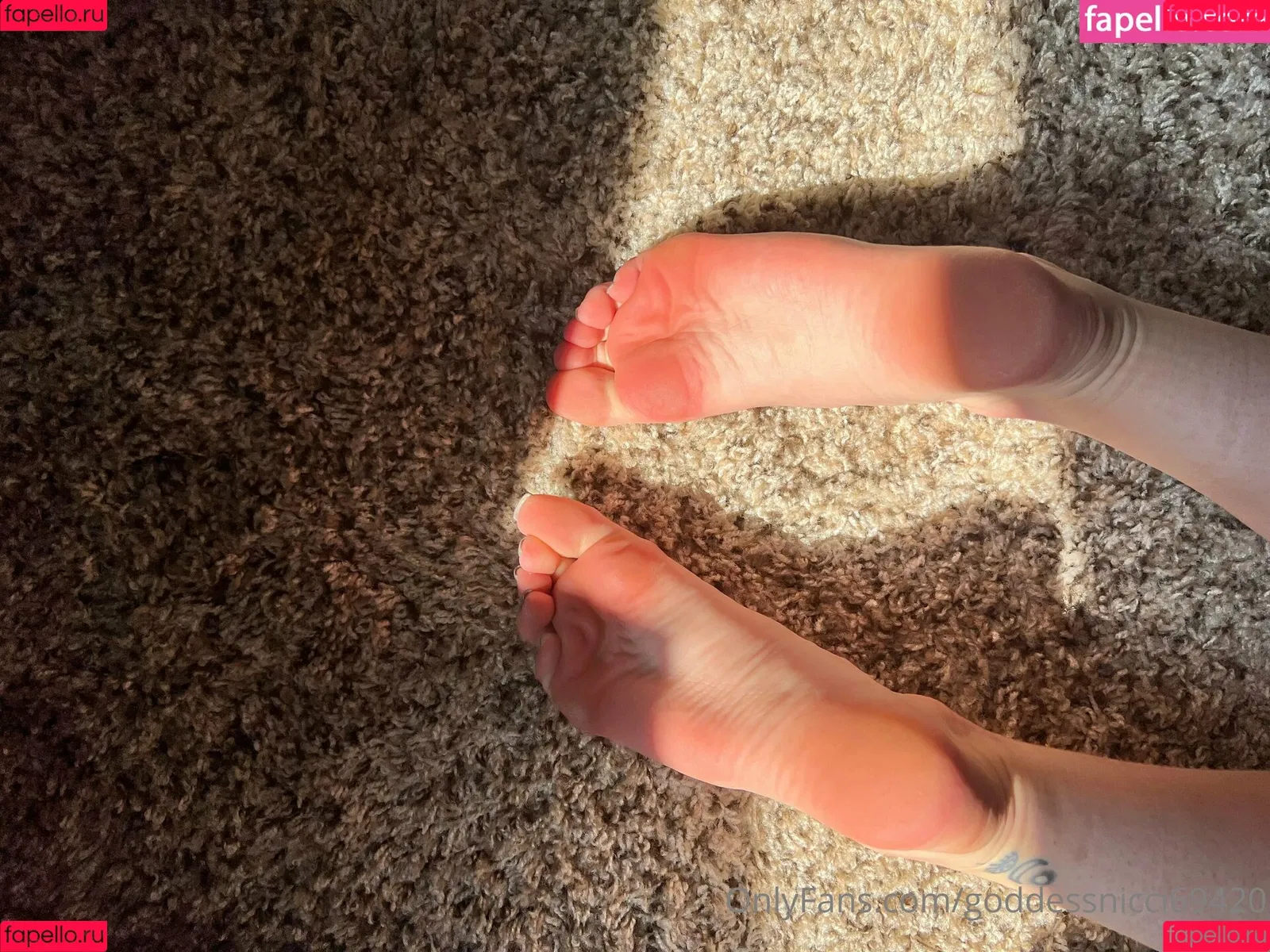 goddessnicci69420 Onlyfans Photo Gallery 