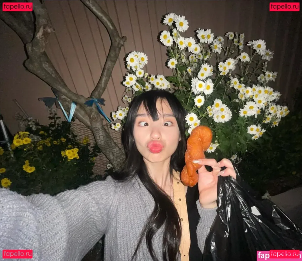 Nayoung Kim Onlyfans Photo Gallery 