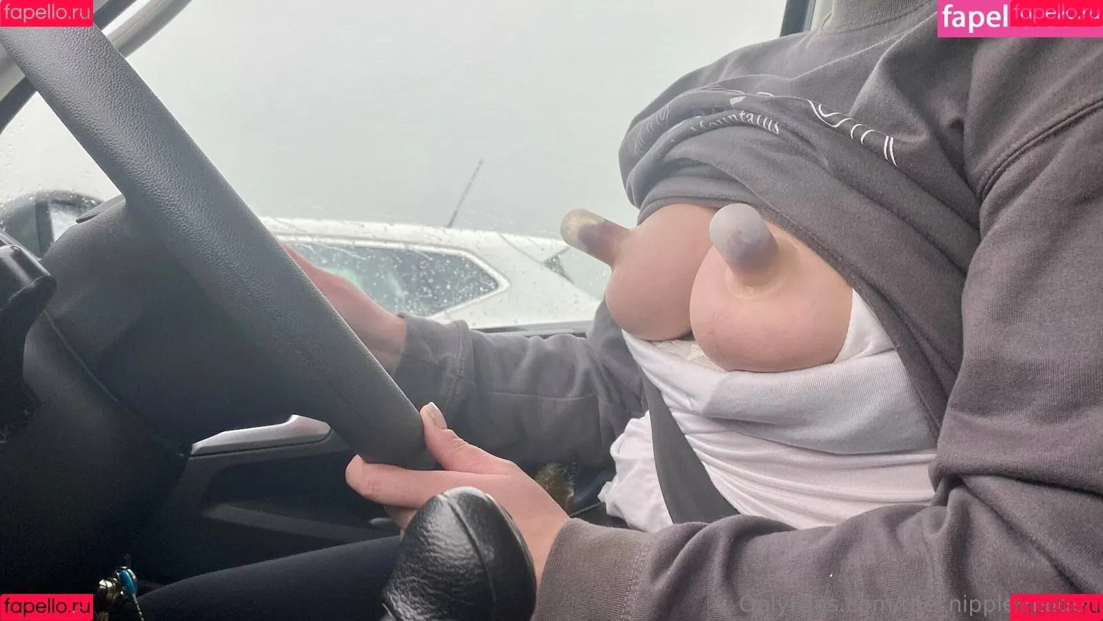 the_nipplemaiden Onlyfans Photo Gallery 