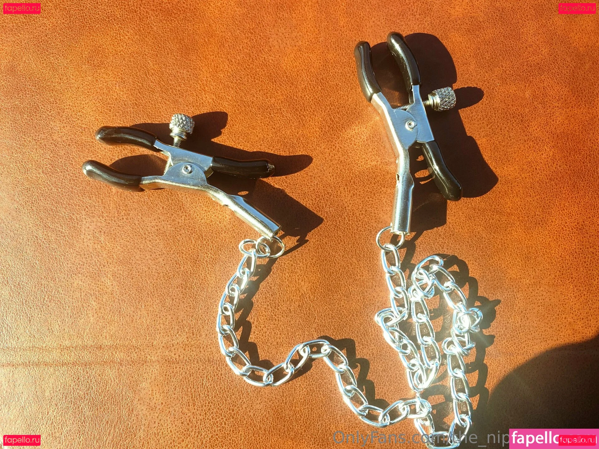 the_nipplemaiden Onlyfans Photo Gallery 