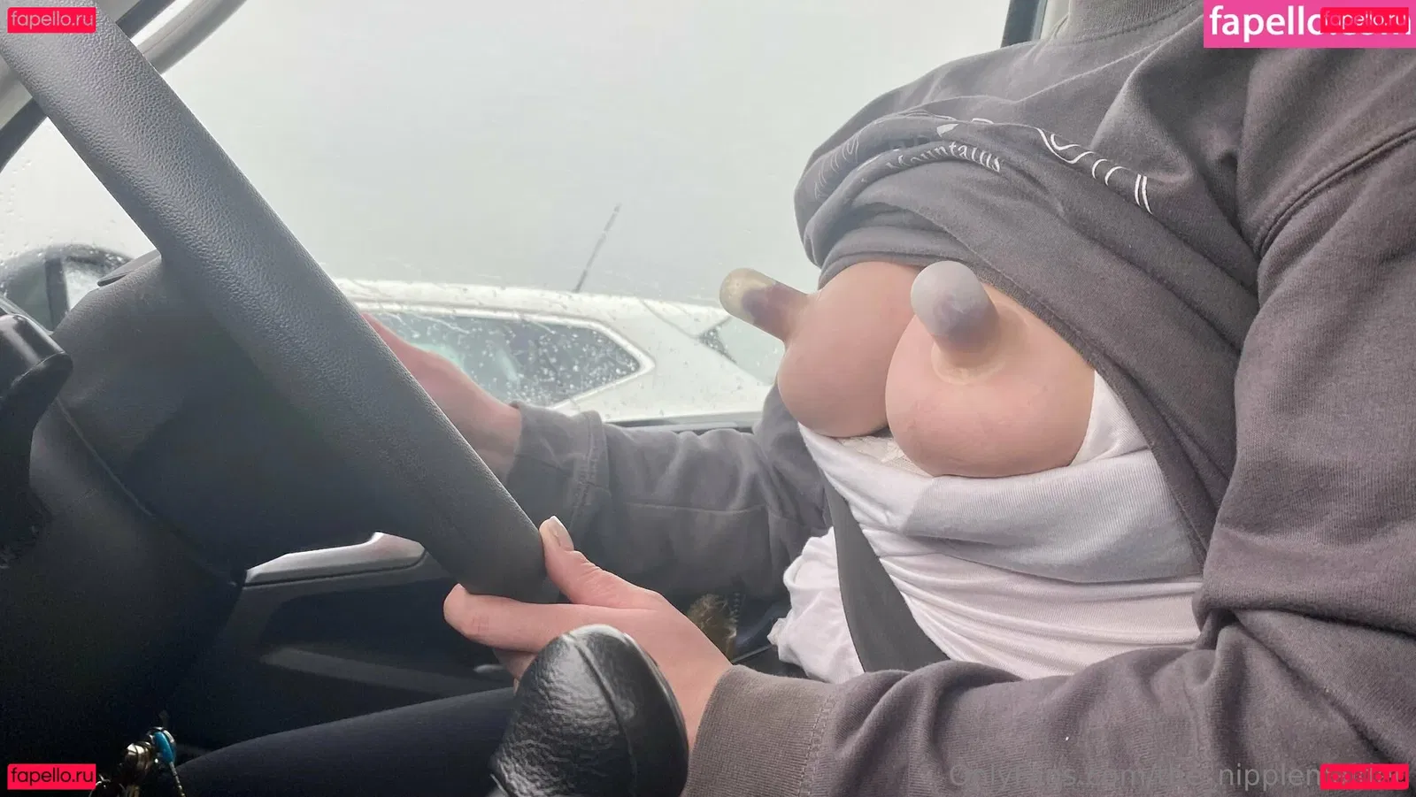 the_nipplemaiden Onlyfans Photo Gallery 