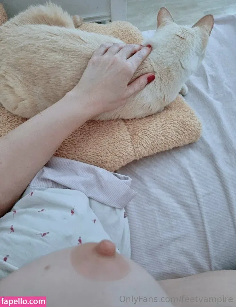 Feetvampire Onlyfans Photo Gallery 