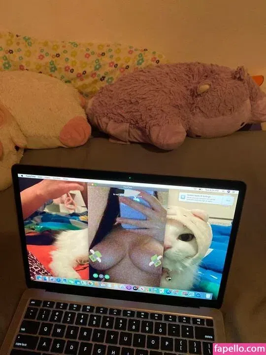 Fattestcat Onlyfans Photo Gallery 