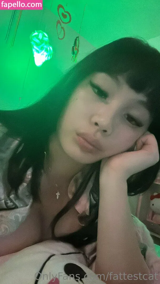 Fattestcat Onlyfans Photo Gallery 