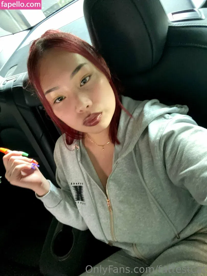 Fattestcat Onlyfans Photo Gallery 