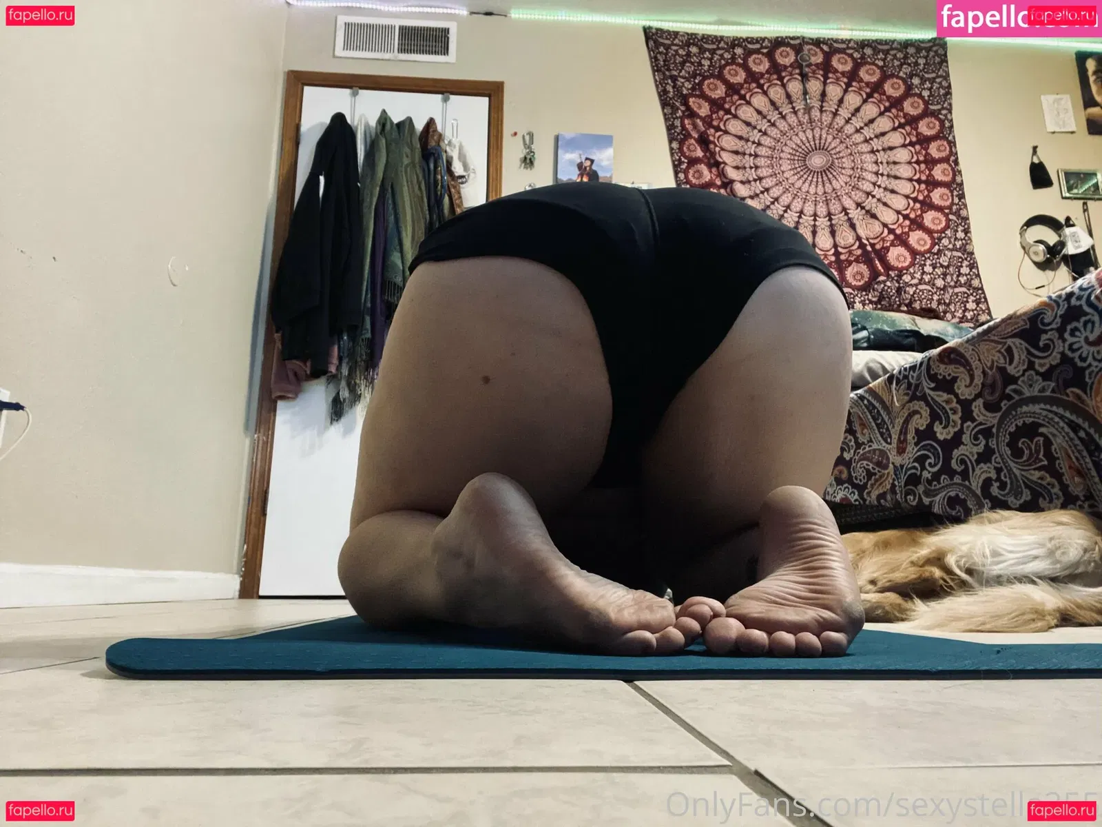 sexystella255 Onlyfans Photo Gallery 