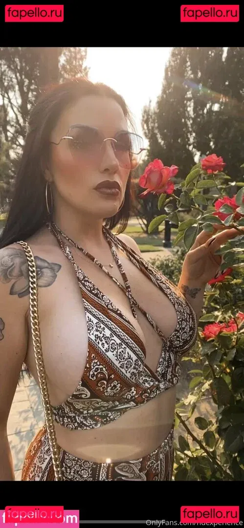 hdexperience Onlyfans Photo Gallery 