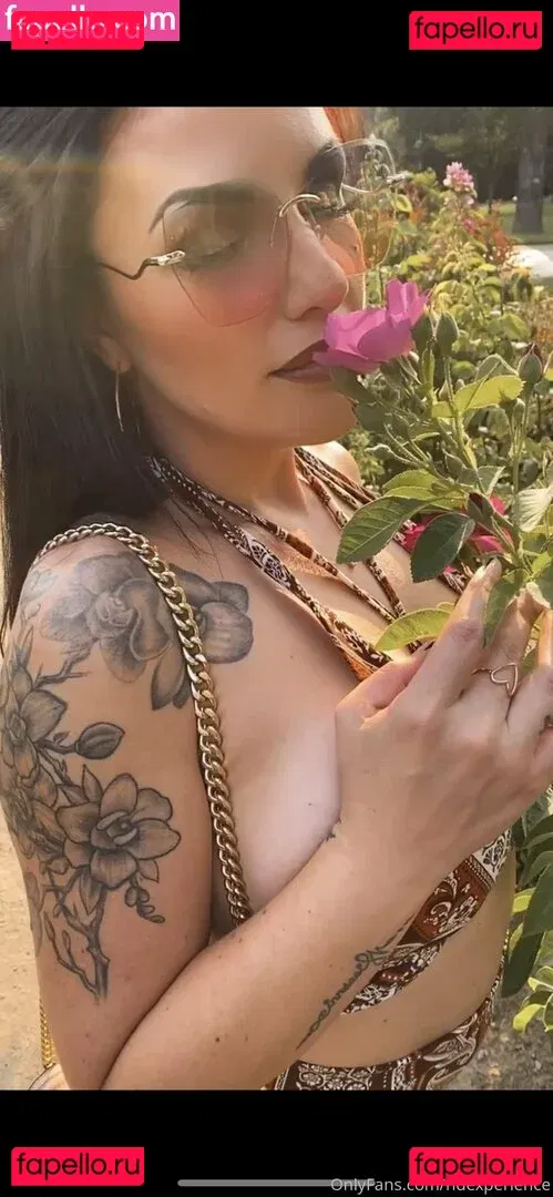 hdexperience Onlyfans Photo Gallery 