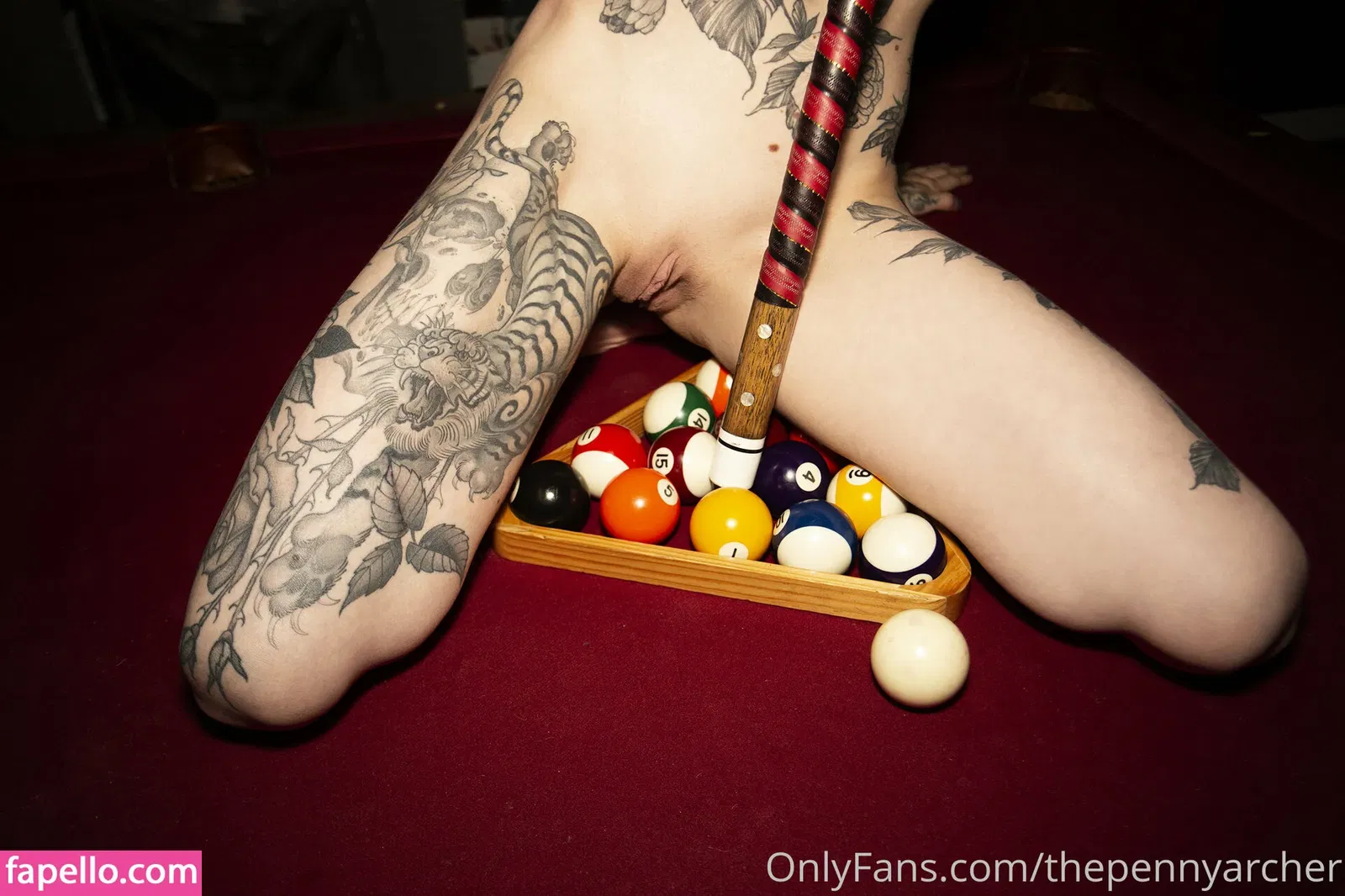 thepennyarcher Onlyfans Photo Gallery 