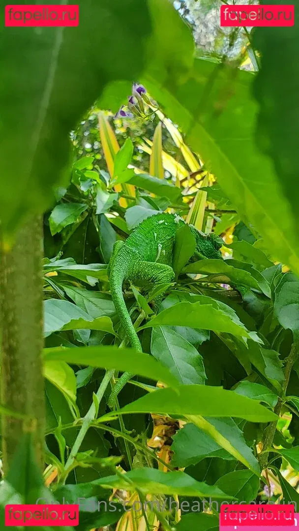 heathercarolin Onlyfans Photo Gallery 