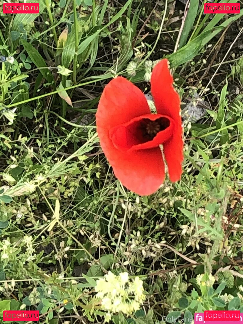 femdomyou Onlyfans Photo Gallery 