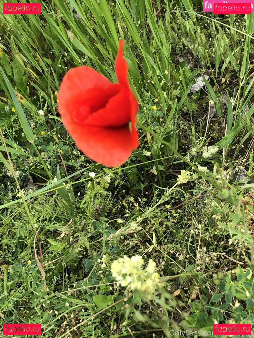 femdomyou Onlyfans Photo Gallery 