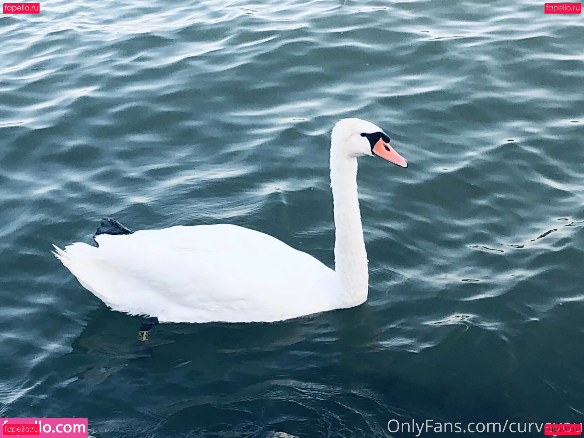 femdomyou Onlyfans Photo Gallery 