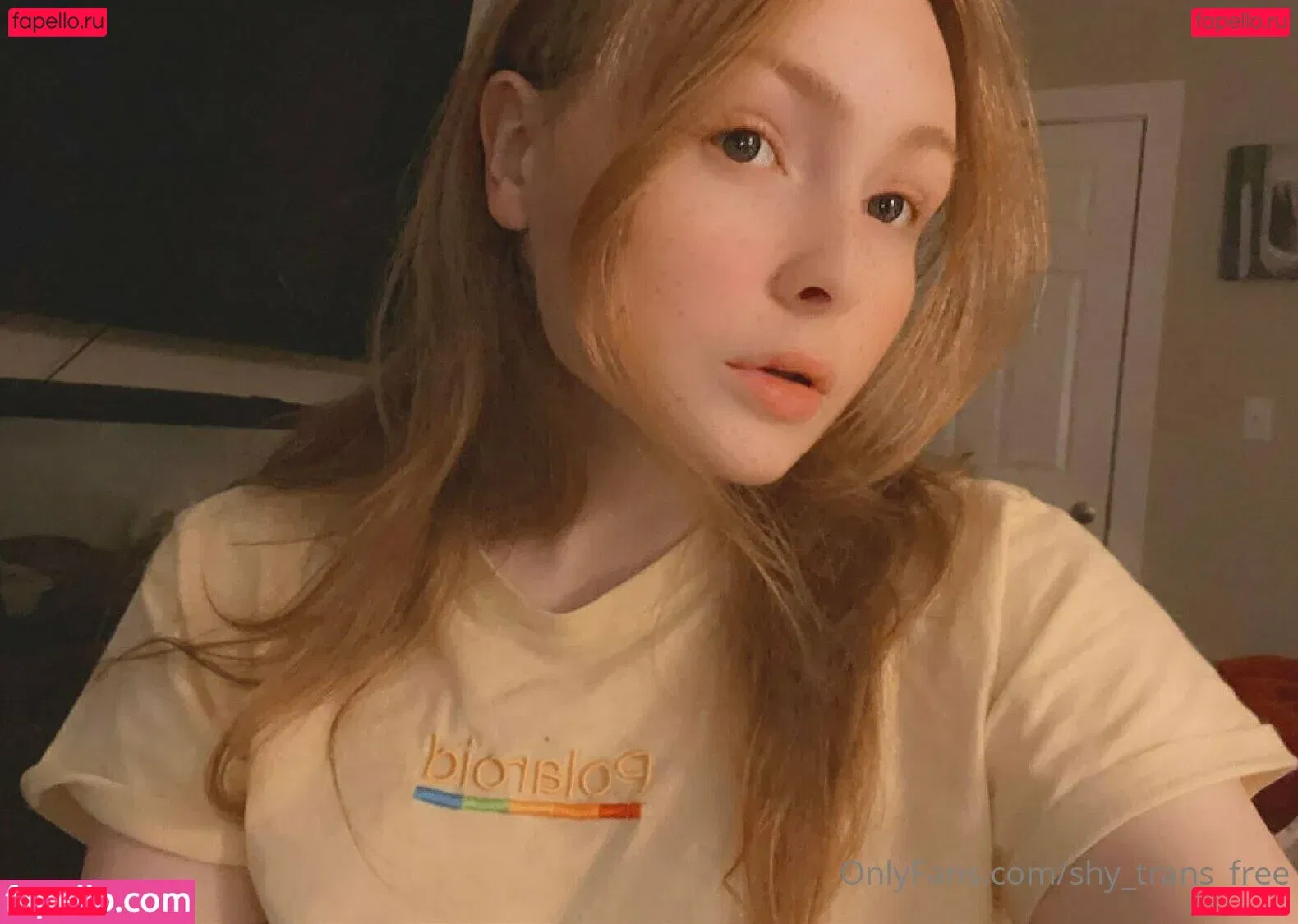 shy_trans_free Onlyfans Photo Gallery 