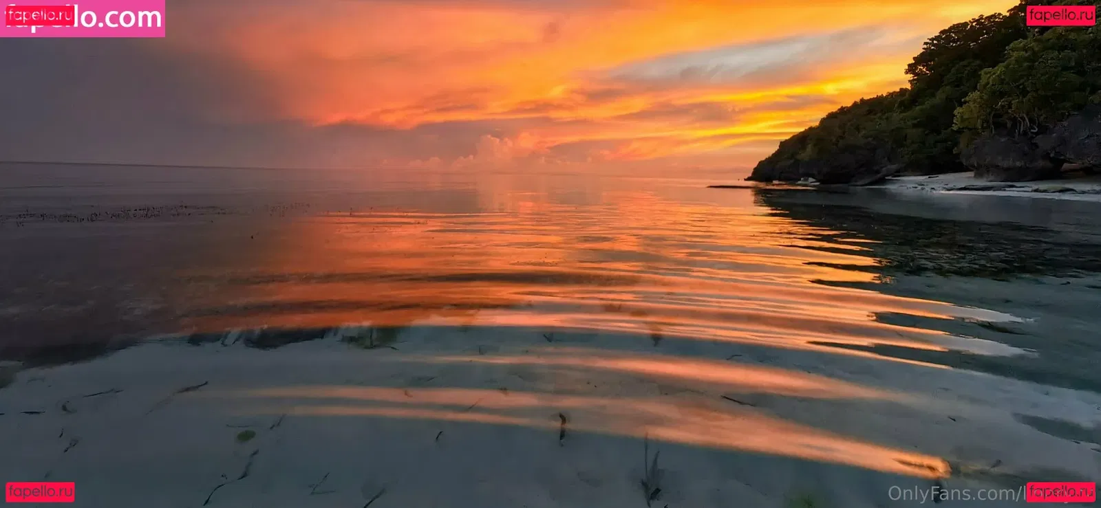 Lionrynn Onlyfans Photo Gallery 