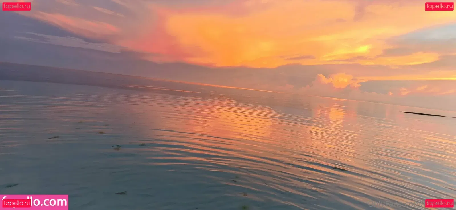 Lionrynn Onlyfans Photo Gallery 