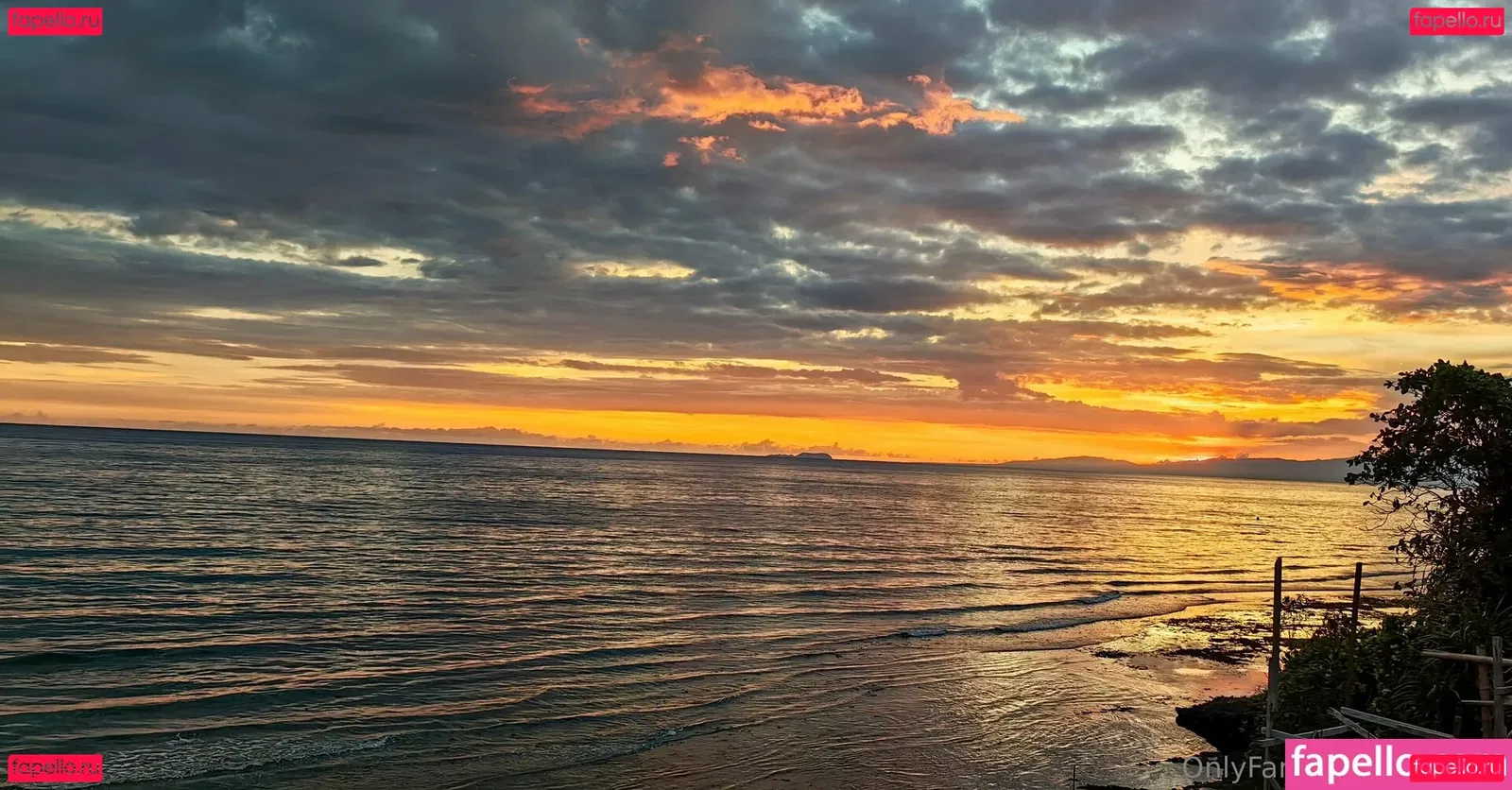 Lionrynn Onlyfans Photo Gallery 