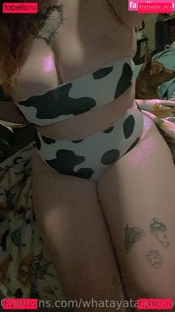 whatayatalkinabeet Onlyfans Photo Gallery 