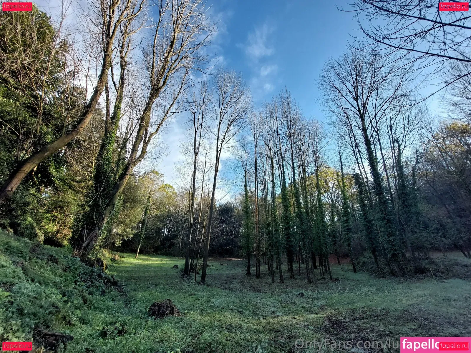 lucyonline69 Onlyfans Photo Gallery 