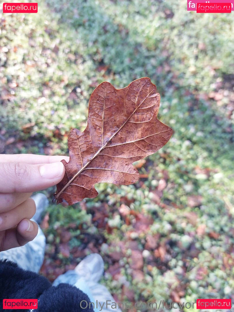 lucyonline69 Onlyfans Photo Gallery 