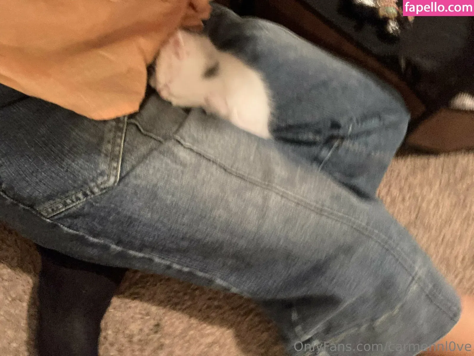 carmennl0ve Onlyfans Photo Gallery 